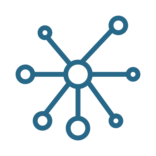 network model