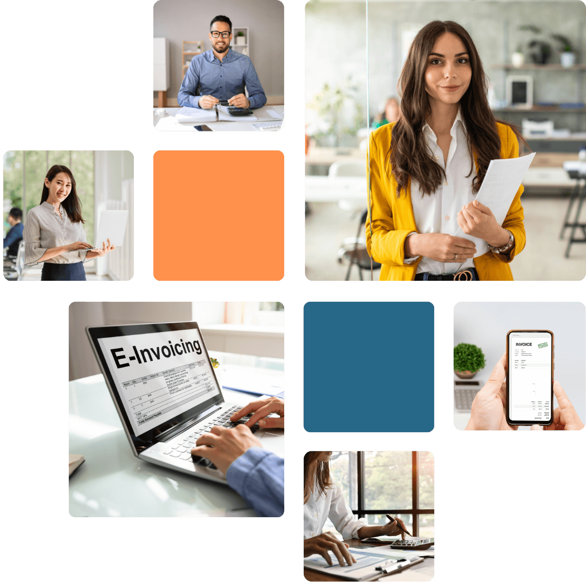 e-invoicing software