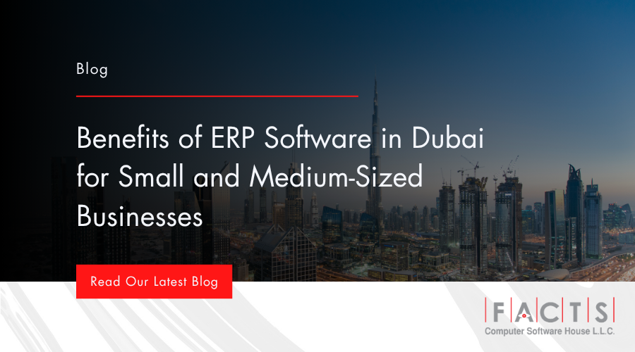 ERP Software in Dubai for Small and Medium-Sized Businesses